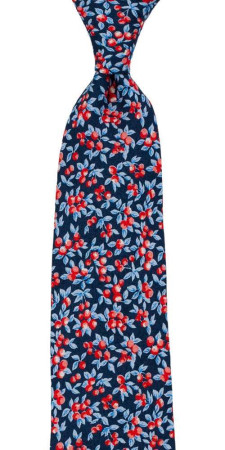 BACCARINO Navy blue slips