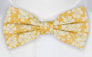 AFFECTIONATE YELLOW fluga
