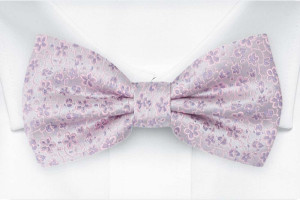AUGURI Pale purple barnfluga