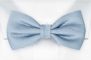 BIRDSEYE Dusty blue barnfluga