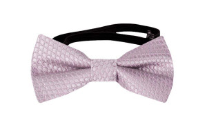 BIRDSEYE Dusty purple babyfluga