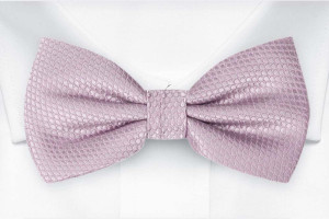 BIRDSEYE Dusty purple barnfluga