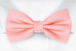 BIRDSEYE Pale pink barnfluga