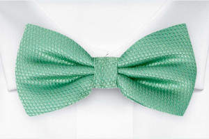 BIRDSEYE Seafoam turquoise barnfluga