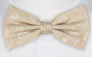 ENCHANTMENT CHAMPAGNE barnfluga