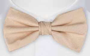 Espousal Champagne Pink barnfluga