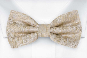 EVERAFTER Champagne gold barnfluga