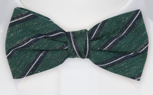 HOLDONTO GREEN fluga