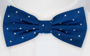 FESTLIG COBALT fluga