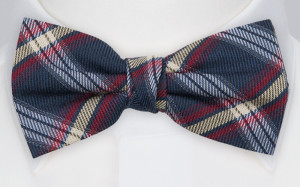 INCHECK DARK BLUE fluga