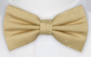 BRUDGUM CHAMPAGNE barnfluga