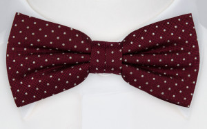 HAGELSTORM BURGUNDY fluga
