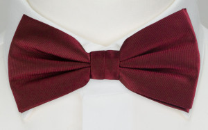 SOLID Burgundy barnfluga