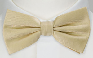 SOLID Champagne barnfluga