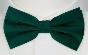 SOLID Dark green barnfluga
