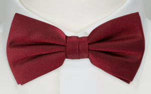 SOLID Dark red barnfluga