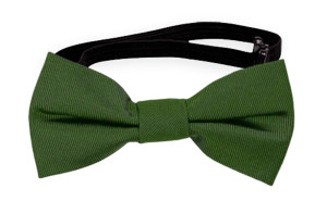SOLID Green babyfluga