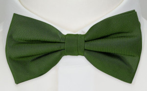 SOLID Green barnfluga