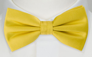 SOLID Lemon barnfluga