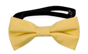 SOLID Light yellow babyfluga