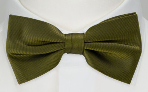 SOLID Olive barnfluga