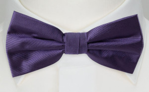 SOLID Purple barnfluga