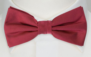 SOLID Raspberry barnfluga
