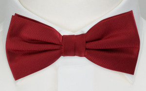 SOLID Red barnfluga
