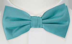 SOLID Turquoise barnfluga