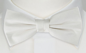 SOLID White barnfluga