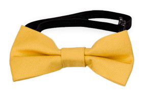 SOLID Yellow babyfluga