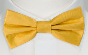 SOLID Yellow barnfluga