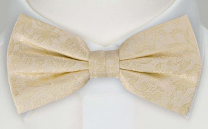 VIGSEL CHAMPAGNE barnfluga