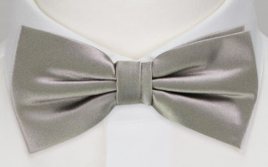 MAGISKT SILVER barnfluga