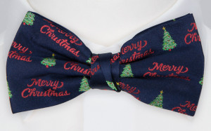 MERRYMESSAGE BLUE fluga