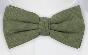 MOREAMORE Laurel green barnfluga