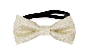 ORNATE Champagne babyfluga