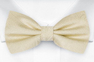 ORNATE Champagne barnfluga
