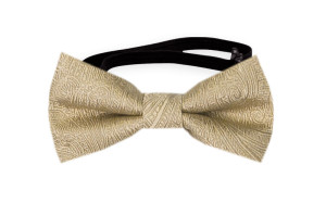ORNATE Gold babyfluga