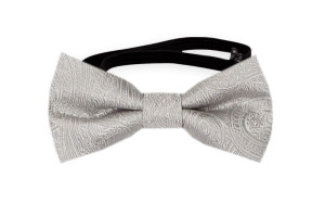 ORNATE Silver babyfluga