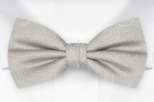 ORNATE Silver barnfluga