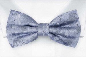 PROPOSAL Dusty blue barnfluga