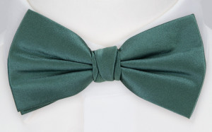 SATIN JUNIPER GREEN barnfluga