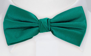 SATIN PERSIAN GREEN barnfluga