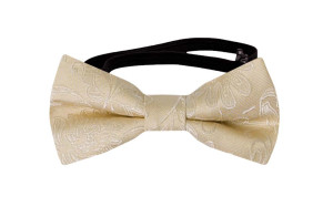 SAVETHEDATE Champagne babyfluga