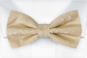 SAVETHEDATE Champagne barnfluga