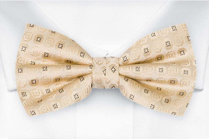 SETTLEDOWN Champagne barnfluga