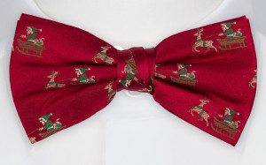 SLEIGHRIDER RED fluga