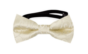 SNAZZY Champagne babyfluga
