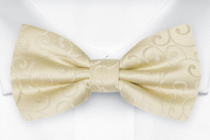 SNAZZY Champagne barnfluga